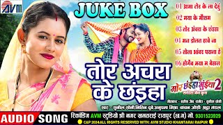 Mor Chhaiya Bhuiya 2  Cg Film Song  Tor Achara Ke Chhaiya  AudioJukebox  Man Diksha Elsa Deepak [upl. by Gallager]