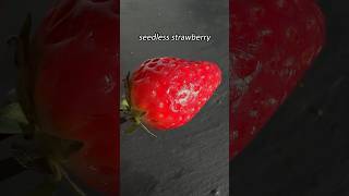 Seedless Strawberry [upl. by Heymann]