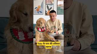 🐕Tobo के पापा की तबीयत खराब  mini wood toy  woodworking art skill  hand crafts shorts pets [upl. by Fiann]