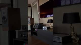 New Hegel H390 dynaudio music audiophile new audio hegel speaker fy testing viralvideo [upl. by Alra813]