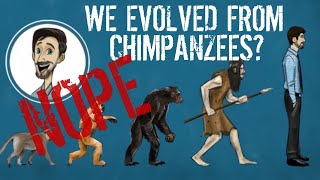 Humans Did NOT Evolve from Chimpanzees [upl. by Haras]