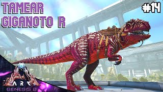 Tamear Giganoto R solo  ARK GENESIS 2 14  Servidor Oficial PVE [upl. by Der]