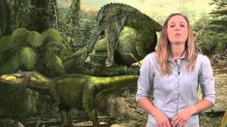 Dinosaur Myth Busted Cloning dinosaurs [upl. by Akerley]