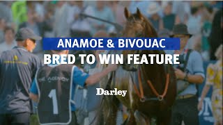 Anamoe and Bivouac feature on Bred To Win  2023 [upl. by Orat]