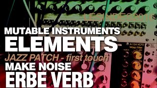 Mutable Instruments ELEMENTS  Make Noise ERBE VERB  JAZZ PATCH  First Touch [upl. by Pilar558]