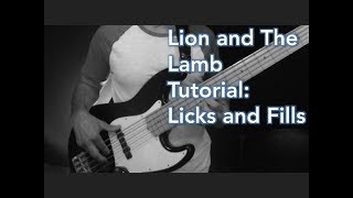 Lion and the Lamb  Licks and Fills [upl. by Kirt975]