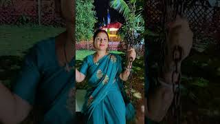 Konka kidiyam gidra beda santhalivideo santhlisong santhalistatusvideo santali santhlisong [upl. by Aleris]