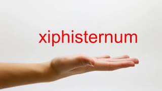 How to Pronounce xiphisternum  American English [upl. by Lari90]