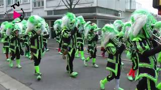 Rosenmontagsumzug 2019 in Böblingen [upl. by Udele]