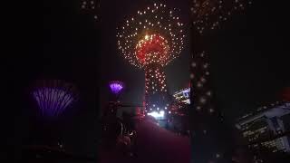 Singapore Supertree Grove Live Show [upl. by Bernardine267]