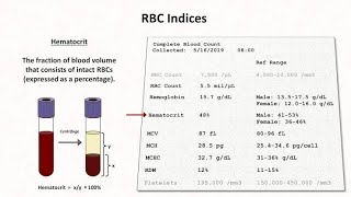 HAEMATOLOGICAL INDICES RBC indices  MCV MCHMCHC RDW PART 1 Haematology [upl. by Rexanna]