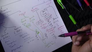 Functional Components of Cranial Nerves [upl. by Malvin]