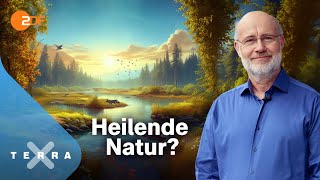 Harald Lesch  und die unterschätzte Klimachance  Terra X Harald Lesch Ganze TVFolge [upl. by Larsen]