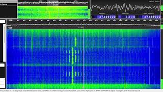 VIDEOGATE  International Trolls  27385 mhz LSB [upl. by Lyndy]