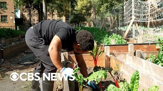 Fighting food waste with composting and a tour inside Warner Bros prop archive  Eye on America [upl. by Stoeber]