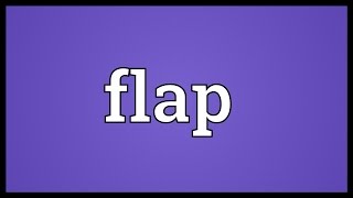 Flap Meaning [upl. by Cadmann]