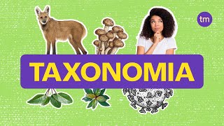 Taxonomia  Como classificar os seres vivos [upl. by Ymac]