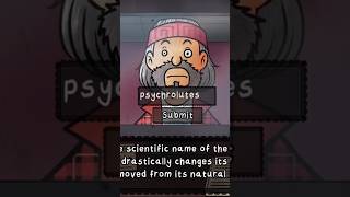 Psychrolutes Marcidus •Thats Not My Neighbor•youtubeshorts gaming foryou trivia shorts  fyp [upl. by Sillig]