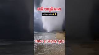 Dana ra karala rupajagannath status shortvideo dana [upl. by Gad]