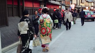 Geisha Walk in Kyoto Gion Hanamikoji  Amazing Beautiful Kimono and Obi 京都、祇園祭直前、花見小路を歩く舞妓さん、感動の着物と帯 [upl. by Wilfred]