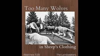 Too Many Wolves in Sheeps Clothing  New Song music shorts praiseandworship kapuskasing [upl. by Alleahcim]