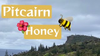 Pitcairn Island Pitcairn Honey 🐝 [upl. by Ecnedurp]