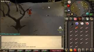 Runescape 2007 Mammoths Guide WSafespot  Wilderness Rejuvenation [upl. by Ecnahoy]