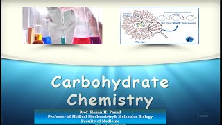 Carbohydrate Chemistry Heteropolysaccharides GAGs Fall 2021 N [upl. by Brittney]