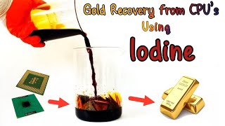 Gold Recovery with IodineIodide Leaching  Unlock the Secret of Gold Recovery [upl. by Pacheco]