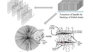 Polymer Crystallization [upl. by Eltsyek]