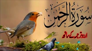 SURAH RAHMAN TARJUMA K SATH  QURAN TILAWAT BEAUTIFUL VOICE QuranRecitationDua [upl. by Schonfeld]