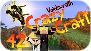 MINECRAFT  CRAZY CRAFT 42   IM BIENENSTOCK  Deutsch HD [upl. by Eceinahs]