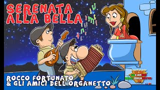 serenata alla bella  Rocco Fortunato e gli amici dellorganetto [upl. by Nylrehs9]