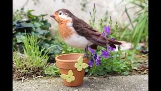 Making a Needle Felted Robin from Start to Finish [upl. by Haldan346]