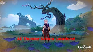 All Thunder Sakura Locations  Genshin Impact shorts [upl. by Kcirtemed]