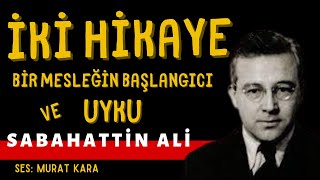 quotUykuquot quotBir Mesleğin Başlangıcıquot Sabahattin Ali Hikayeleri Sesli Kitap [upl. by Modla403]