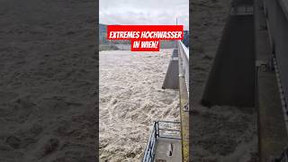 Extremes Hochwasser am 14092024 in Wien heavyrain unwetter viralvideo hochwasser foryou [upl. by Ear]