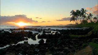 Discover Hawaii with Perillo Tours [upl. by Ariaek]