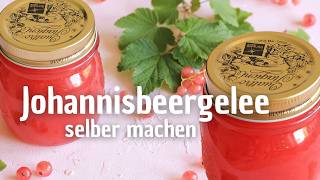 Johannisbeergelee einfach selber machen  Marmelade Rezept [upl. by Wachtel]