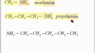 Compuestos Nitrogenados Aminas [upl. by Ennairda]