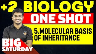 Plus Two Biology  Chapter 5  Molecular Basis of Inheritance  One Shot  Eduport [upl. by Akiemehs]