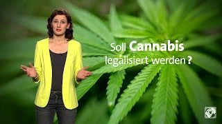 Sollte Cannabis in Deutschland legalisiert werden [upl. by Nordin]