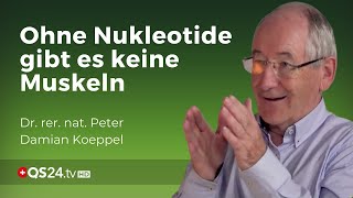 Das A und O für den Muskelaufbau  Dr rer nat Peter D Koeppel  Naturmedizin  QS24 [upl. by Heall]