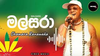 Malsara මල්සරාchamararanawaka chamararanawakaofficial viralvideo subscribe support like [upl. by Ormsby725]