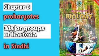 Major groups of bacteria class 11 biology Sindh board chapter 6 prokaryotes [upl. by Agretha525]