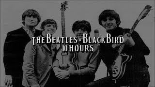 Blackbird by The Beatles for 10 Hours [upl. by Samuel]