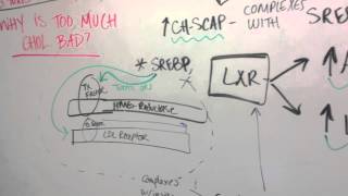 Pathway to Maintain Cholesterol Balance Part 2 [upl. by Alegna]