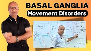 Basal Ganglia and Movement Disorders  Neurology [upl. by Barayon]