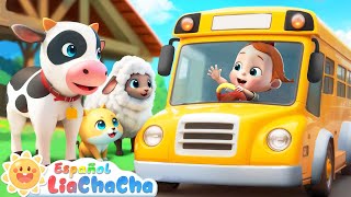 Las Ruedas del Autobús  Versión Animales de Granja 2  LiaChaCha en Español  Canciones Infantiles [upl. by Mairam293]