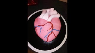 Gateau coeur et stethoscope [upl. by Perlis]